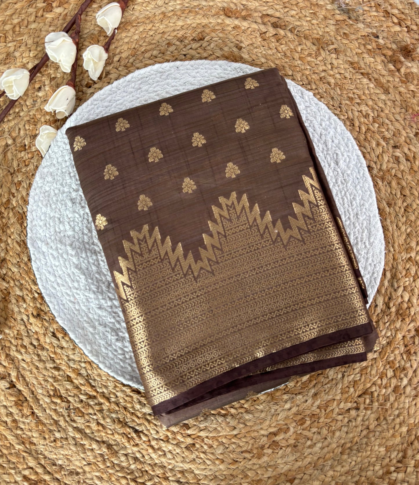 Light brown tussar silk saree