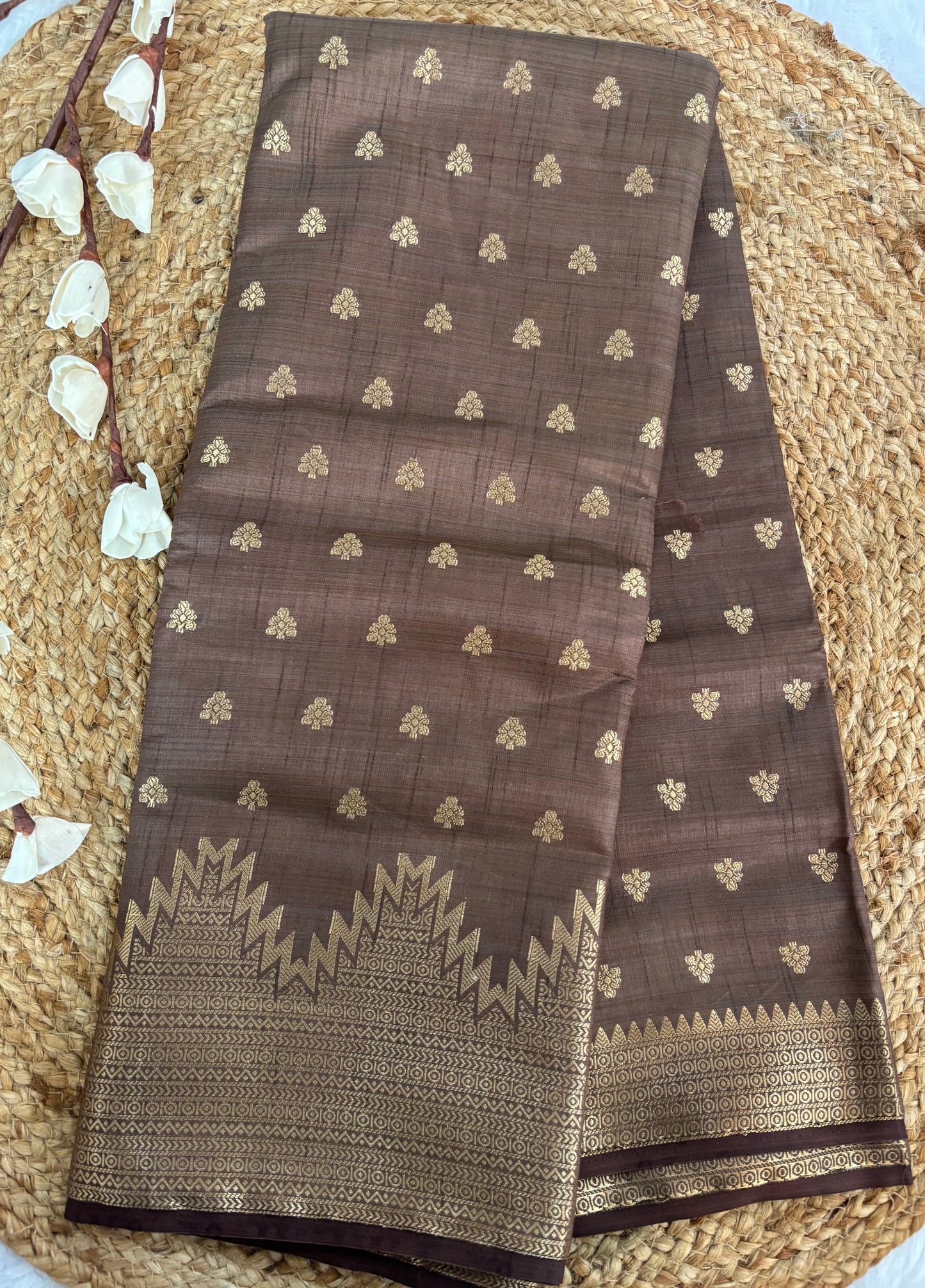 Light brown tussar silk saree